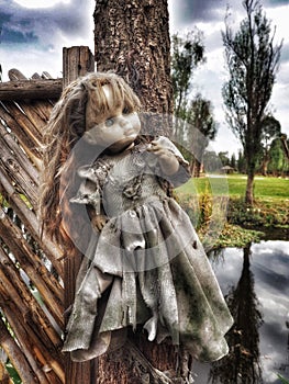 Girl Doll Beside the Canal at the Island of the Dolls in Mexico