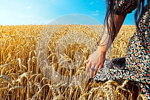 Girl in dress walking on wheat field, touching with hand wheat ears. Sunny day with a natural background