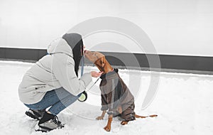 Girl is dressed in a jacket and a dog wearing clothes in the street in the snow in the winter, dog kisses the owner against the