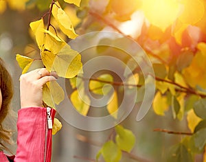 A girl dressed in a red leather jacket  holding a yellow leaf walks in the autumn park. Autumn yellow leaves background with bokeh