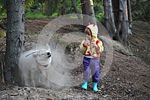 Girl and dust dog Little funny Girl and cute dog. the dog got out of a hole and shakes off dust. .