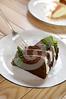 Girl, eating a piece of cake in a cafe on the blur background, dessert time. Chocolate cake with vanilla cream