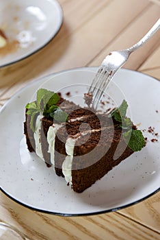 Girl, eating a piece of cake in a cafe on the blur background, dessert time. Chocolate cake with vanilla cream