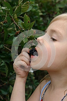 Girl eats a blackberry