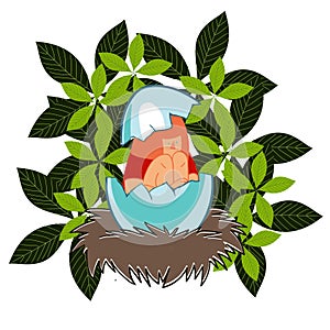 Girl in an eggshell in the nest