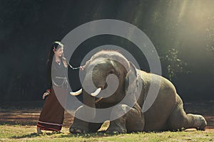 The girl and the elephant