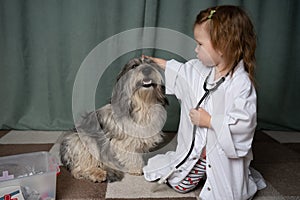 a girl with an endoscope plays with a dog at a doctorâ€™s appointment. She examines the dog, touches her head if there is a