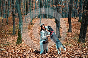 Girl enjoy walk with husky dog. Siberian husky favorite pet. Animal husbandry. Girl pretty stylish woman walking with