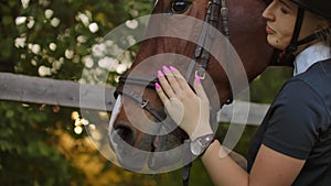 Girl is enjoying her time with a horse before training