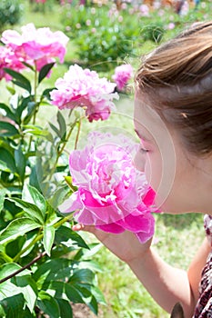 Girl enjoying of pink Minuet peony smell in formal garden photo