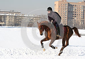 The girl the equestrian skips on a horse