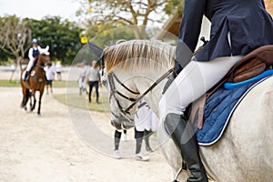 The girl the equestrian skips on a horse