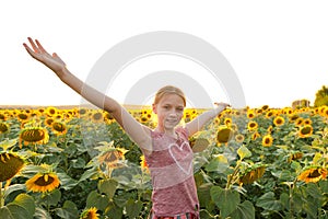 A girl in the evening in a field with sunflowers joyfully spreads her arms to the sides