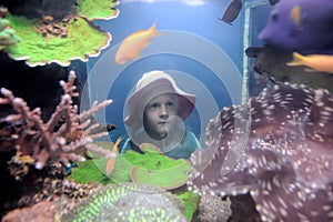 The girl examines the inhabitants of the marine aquarium