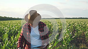 Girl farmer with a tablet to monitor the harvest, a corn field at sunset