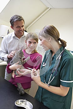 Girl And Father Taking Cat For Examination By Vet