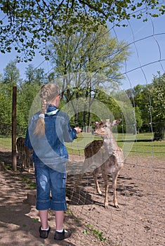 Girl feeding animal