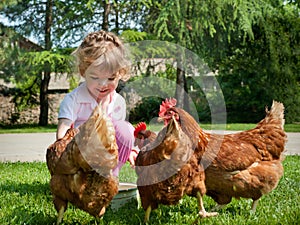 Girl feeding chickens