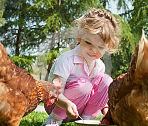 Girl feeding chickens