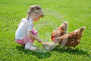 Girl feeding chickens