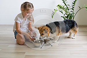 girl feeding a cute puppy