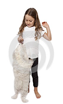 Girl feeding dog