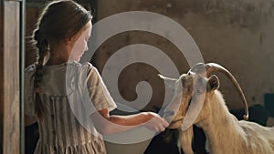 Girl feeding goat in barn