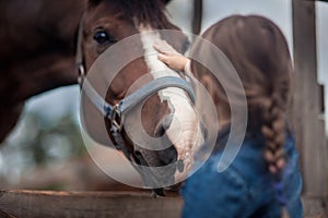 Alimentazione suo un cavallo 