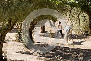 Girl feeding horses