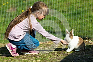 Girl feeding rabbit photo