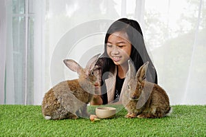 Girl feeding rabbit selective focus at rabbit