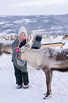 Girl feeding reindeer in the winter