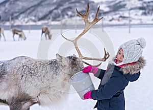 Girl feeding reindeer in the winter