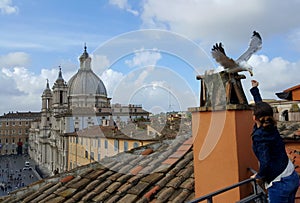 Girl feeding seagull, Piazza Navona, Rome, Italy