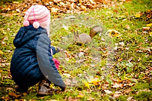 Girl feeding squirrel in autumn park. Little girl in blue trench coat and brown leather boots watching wild animal in