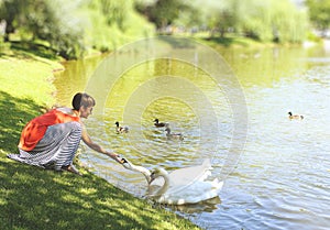 Girl feeding swans lake shore park