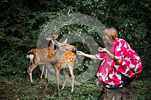 Girl feeding wild deer at petting zoo. people feed animals at outdoor. Family summer trip to zoological garden.