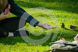 Girl feeds birds with bread in the park. A teenager feeds the hands of sparrows