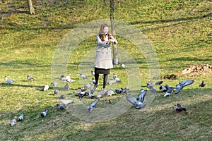 Girl feeds birds in sunny weather. Beautiful young woman feeding birds in the park at sunny fall day