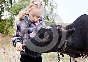 A girl feeds the cow