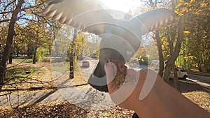 Girl feeds gray pigeon that sits on her palm hand on sunny autumn day