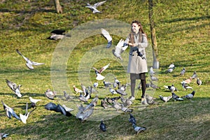 Girl feeds pigeons. in the park in a sunny pagoda. caring for animals. Beautiful smiling woman feeding pigeons in the park during