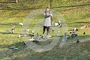 Girl feeds pigeons. in the park in a sunny pagoda. caring for animals. Beautiful smiling woman feeding pigeons in the park during