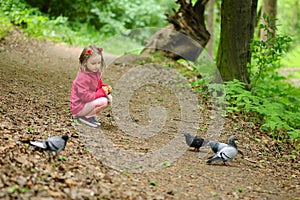 Girl feeds urban pigeons pigeons in the park.