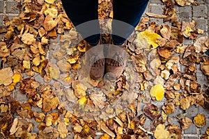 Girl feet with autumn leaves in the ground