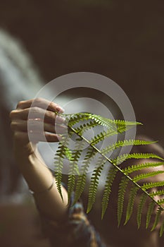 Girl with a fern leaf in the forest with a waterfall in the background