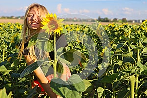 Girl in a field of blooming sunflowers in nature. Happy, perky and cheerful