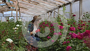 Girl florist in a flower greenhouse sitting examines roses touches hands smiling. Little flower business. Woman gardener