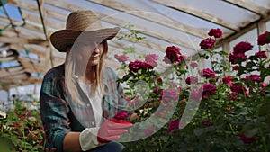 Girl florist in a flower greenhouse sitting examines roses touches hands smiling. Little flower business. Woman gardener