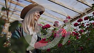 Girl florist in a flower greenhouse sitting examines roses touches hands smiling. Little flower business. Woman gardener